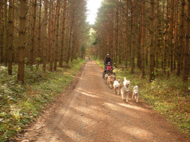 dscn1304.jpg