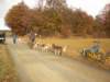 dscn1313_small.jpg