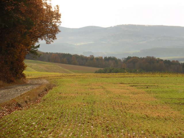 dscn1315.jpg