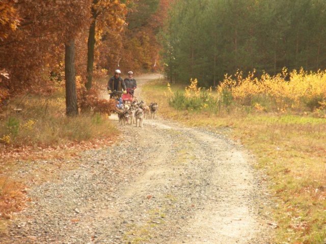 dscn1321.jpg