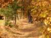 dscn1322_small.jpg