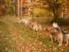 dscn1327_small.jpg