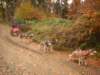 dscn1329_small.jpg