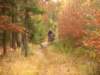 dscn1334_small.jpg