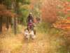 dscn1335_small.jpg