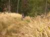 dscn1336_small.jpg