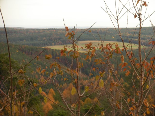 dscn1337.jpg