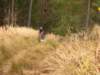 dscn1338_small.jpg