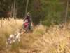 dscn1339_small.jpg