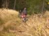 dscn1340_small.jpg