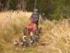 dscn1341_small.jpg