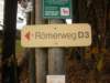 dscn1345_small.jpg