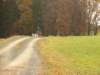 dscn1346_small.jpg