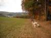 dscn1350_small.jpg