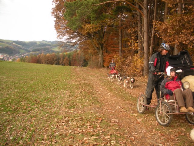 dscn1351.jpg