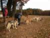 dscn1352_small.jpg