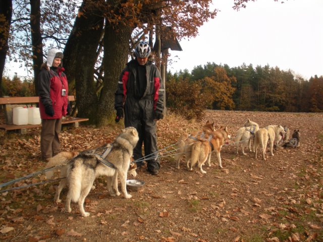dscn1353.jpg