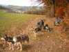dscn1354_small.jpg