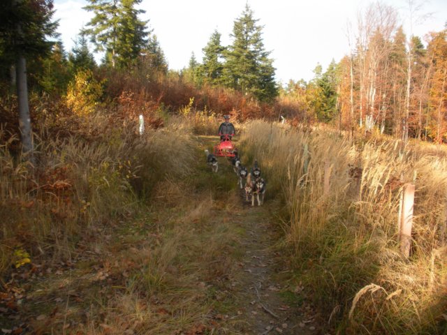 dscn1358.jpg