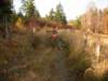 dscn1358_small.jpg