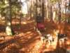 dscn1361_small.jpg