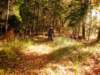 dscn1364_small.jpg