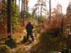 dscn1366_small.jpg