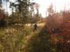 dscn1367_small.jpg