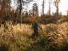 dscn1368_small.jpg