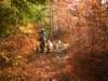 dscn1370_small.jpg