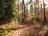 dscn1372_small.jpg