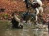 dscn1375_small.jpg
