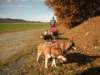 dscn1381_small.jpg