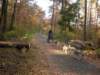 dscn1388_small.jpg
