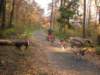 dscn1389_small.jpg