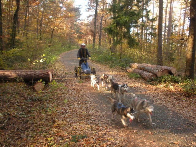 dscn1390.jpg