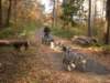 dscn1390_small.jpg