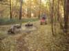 dscn1395_small.jpg