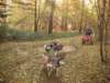 dscn1396_small.jpg