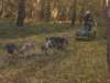dscn1398_small.jpg