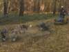 dscn1399_small.jpg
