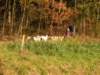 dscn1401_small.jpg