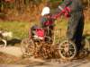 dscn1402_small.jpg