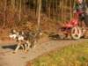 dscn1403_small.jpg