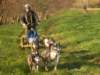 dscn1407_small.jpg