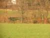 dscn1409_small.jpg