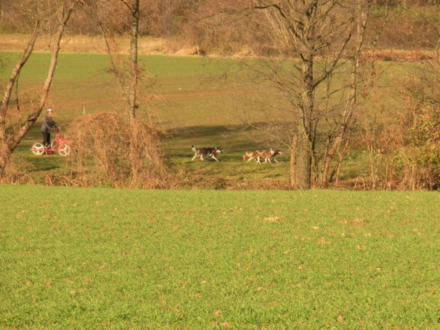 dscn1410.jpg