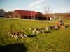 dscn1417_small.jpg
